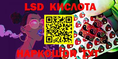 гидра Краснознаменск