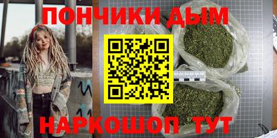 гидра Краснознаменск